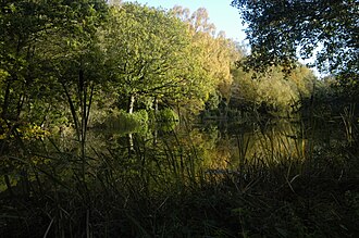 Vista panorâmica de um parque projetado por Brown