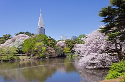Santuário Hanazono