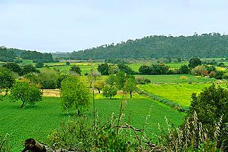 Campos de primavera em Maiorca, Espanha