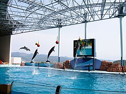 Paisagem de Shirahama