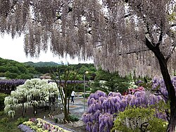 Paisagem natural de Tochigi