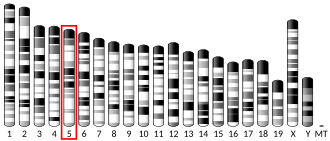 Representação cromossômica do gene TLR1 em camundongos