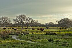 Paisagem rural de Shipley