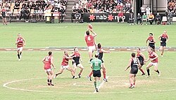 Estádio na Gold Coast