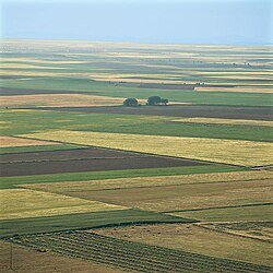 Campos semeados em sistema de campo aberto