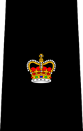 Insígnia de patente de oficial do Serviço de Polícia de Winnipeg